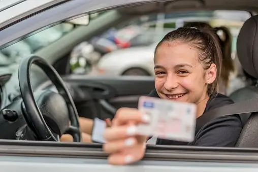 Permis de conduire français à vendre